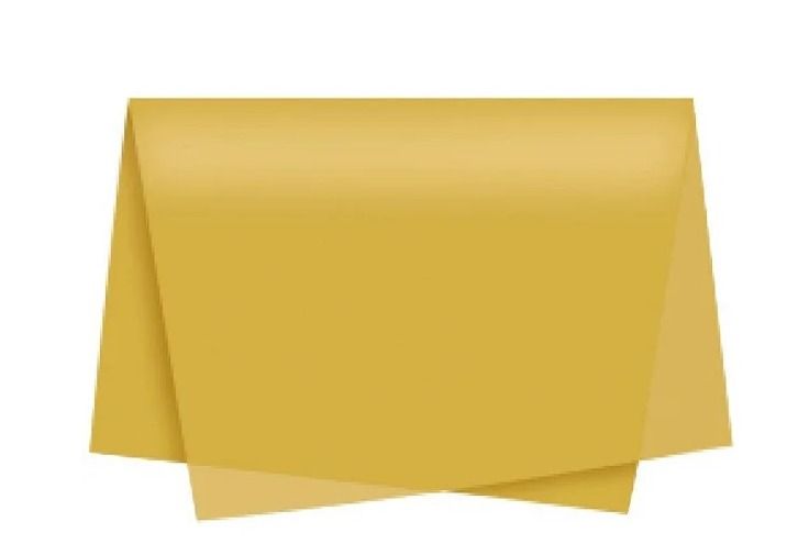 PAPEL POLI SUJINHO LISO 50X70